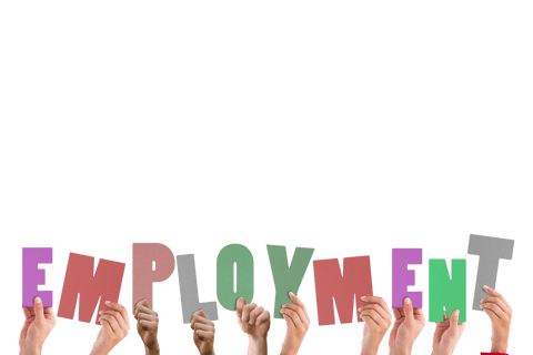 Hands Raising Colorful Letters Forming Word Employment Transparent - Download Free Stock Videos Pikwizard.com