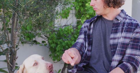 Man in Wheelchair Interacting with Labrador Outdoor