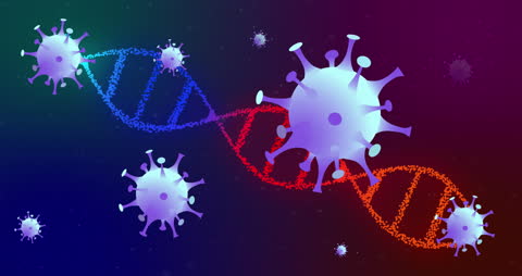 Digital Pandemic Representation with Virus Cells and DNA Strands