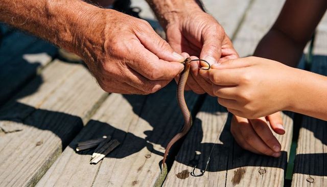 Adult guiding child removing small snake from fishing hook on sunlit wooden dock
