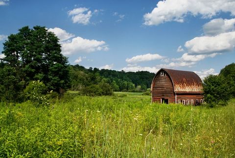 Rural Barn in Green Meadow under Bright Sky