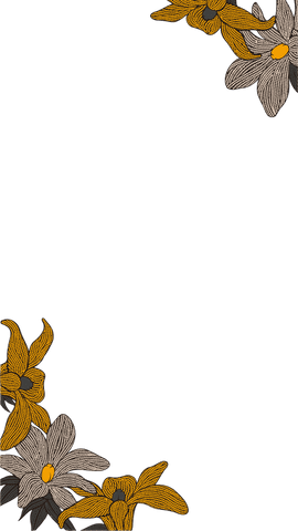 Botanical Daisy Ornament Design Transparent Background - Download Free Stock Videos Pikwizard.com