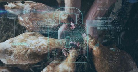 Using digital biosecurity systems in poultry farming