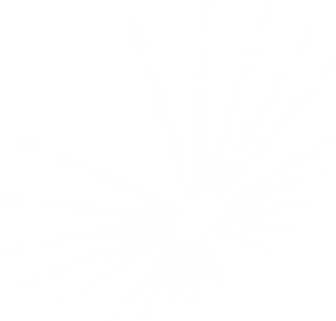 Transparent Digital Circular Scope with Radial Lines - Download Free Stock Videos Pikwizard.com