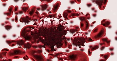 3d illustration of coronavirus amidst blood cells