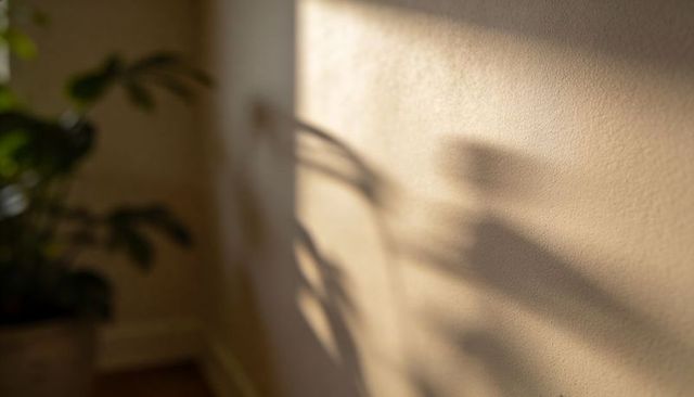 Sunlit leafy shadow on textured beige wall with blurred potted houseplant in warm light
