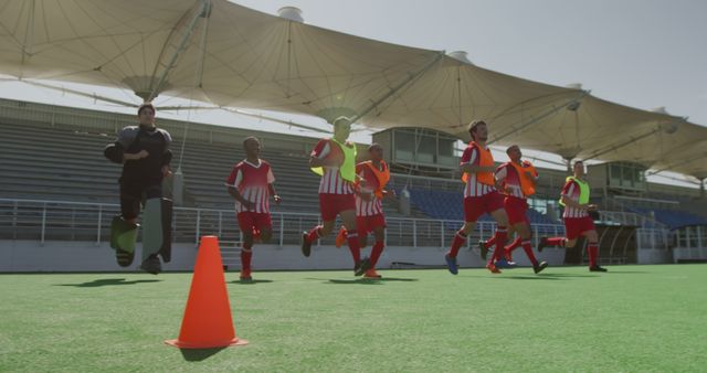 Soccer Team Warming Up in Stadium with Coach - Download Free Stock Images Pikwizard.com