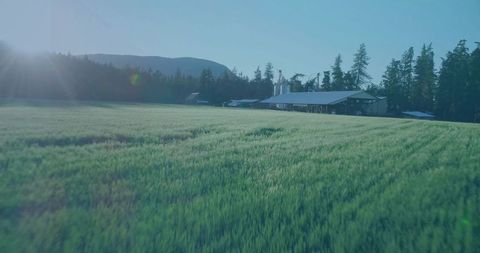 Sunlit Farmland with Barn and Silos at Dawn