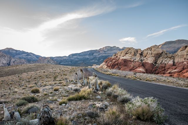 Empty Desert Road Winding Through Red Rock Canyon at Sunset - Download Free Stock Images Pikwizard.com