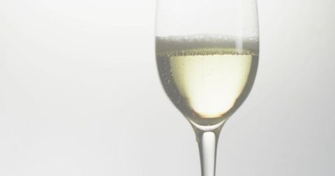 Minimal champagne flute showcasing sparkling wine and rising bubbles on white background