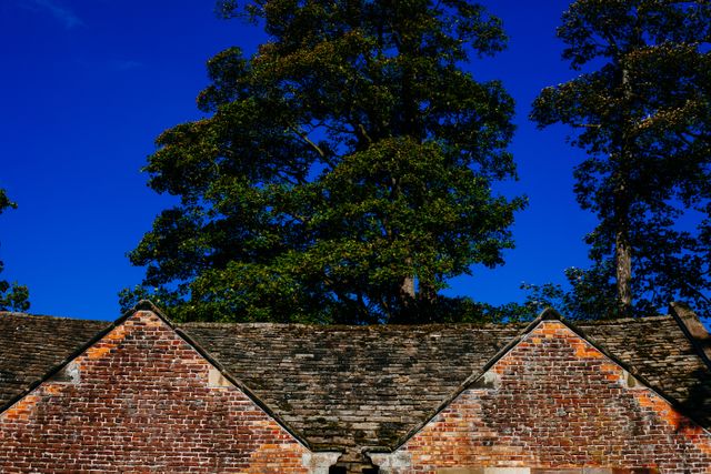 Vintage building features a prominent brick wall and uniquely shaped roof. Tree canopy creates a scenic backdrop against a bright blue sky, ideal for heritage architecture, historical studies, and nature-themed projects.