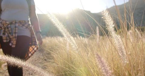 Outdoor Adventure Woman Enjoying Mountain Hike in Sunlit Grass