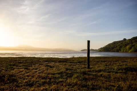 Serene morning beach landscape with solitary wooden post