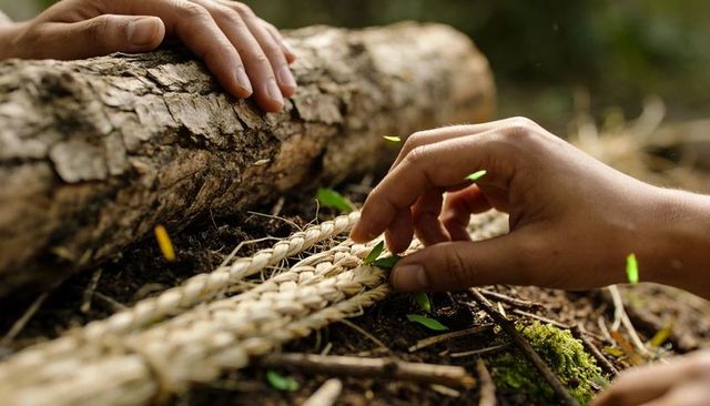 Braiding natural-fiber cord on forest floor with mossy log close-up hands weaving