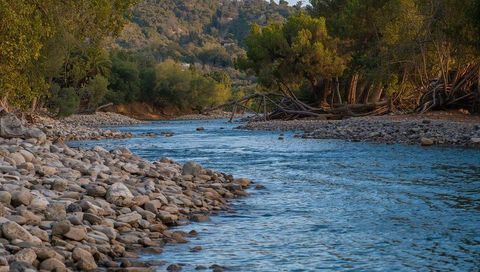 Flowing meandering blue river curving through rocky bank and forested valley golden hour