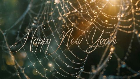Glistening Dew-Kissed Spider Web Catching Golden Morning Light with Happy New Year Script