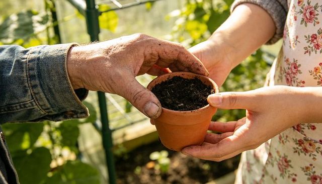 Hands exchanging terracotta pot with soil in sunlit greenhouse gardening collaboration