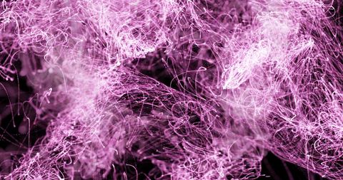 Vibrant Purple Light Trails on Dark Background - Download Free Stock Images Pikwizard.com