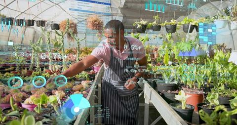 Greenhouse gardener using augmented reality to monitor succulents and nursery inventory