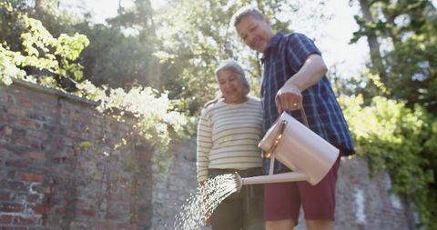 Joyful Senior Couple Gardening Together Under Sunshine