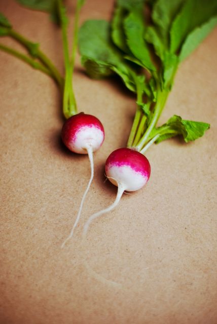 Two fresh radishes with green leaves on a brown surface. Ideal for use in projects related to healthy eating, organic farming, gardening tips, and ingredient showcases in cooking blogs or recipe books.