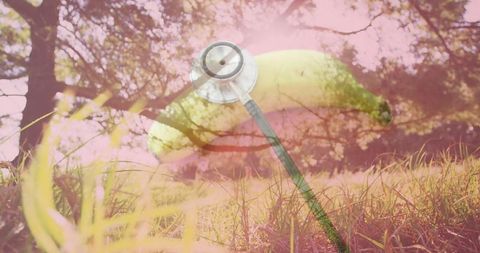 Surreal banana and stethoscope over nature with pink hues