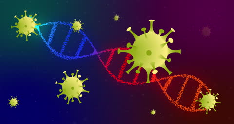 Animation of COVID-19 Cells with DNA Strand Movement