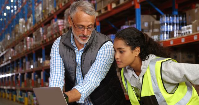 Warehouse Supervisor Training Young Female Worker with Laptop - Download Free Stock Images Pikwizard.com