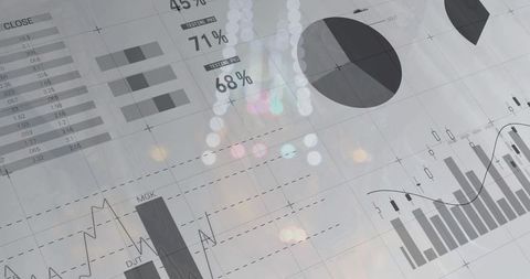 Monochrome Financial Dashboard Showing Charts, Percent Metrics and Soft Bokeh Lights