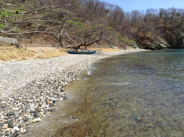 Tranquil Rocky Beach with Boat and Trees in Background - Download Free Stock Images Pikwizard.com