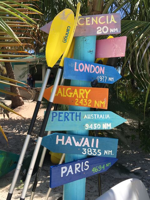 Brightly painted signs indicate distances to international destinations on a tropical beach, surrounded by palm trees and leisure equipment. Ideal for travel blogs, vacation planning sites, tourism promotions, and tropical-themed projects.
