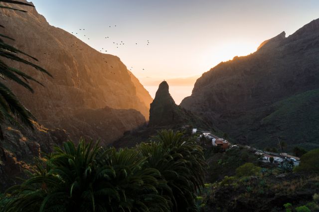 Depicting a peaceful valley surrounded by mountains at sunset, this scene is highlighted by a flock of birds in flight, conveying a sense of freedom and tranquility. The landscape is lush with green vegetation, showcasing the beauty of nature. Ideal for use in travel advertisements, nature-themed posters, or inspirational content focused on exploration and the beauty of the natural world.