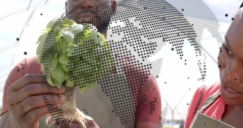 Horticultural workers exploring new agricultural frontiers