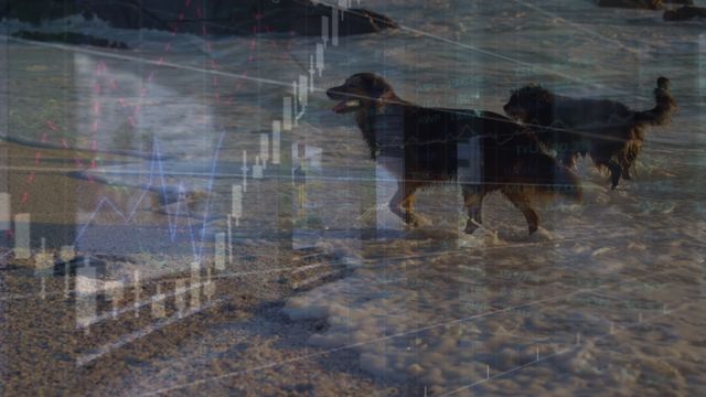 Abstract visual combining dynamic data charts with footage of dogs running along a beach. Represents contrast of technology and nature, merging analytics with everyday life. Perfect for use in presentations on innovation, global technology themes, and digital transformation projects.