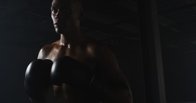 Determined Male Boxer Training in Dark Gym Setting - Download Free Stock Images Pikwizard.com