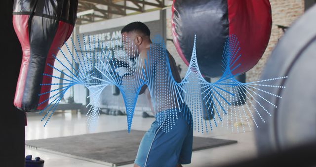 Man Training for Boxing in Gym with Visualized Sound Waves - Download Free Stock Images Pikwizard.com