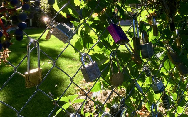 Various padlocks hanging on a metal fence in a green outdoor area under sunlight, symbolizing love and security. This imagery is particularly suitable for themes related to love, commitment, relationships, and safety. It can be used in blogs, articles, and advertisements focusing on romance, travel, and community security.