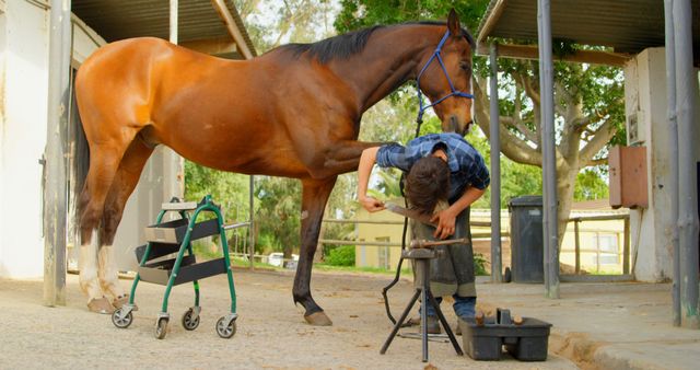 Professional farrier grooming hooves of brown horse in an outdoor stable. Ideal for agricultural content, equine care articles, veterinary services advertisements, and rural lifestyle promotions.