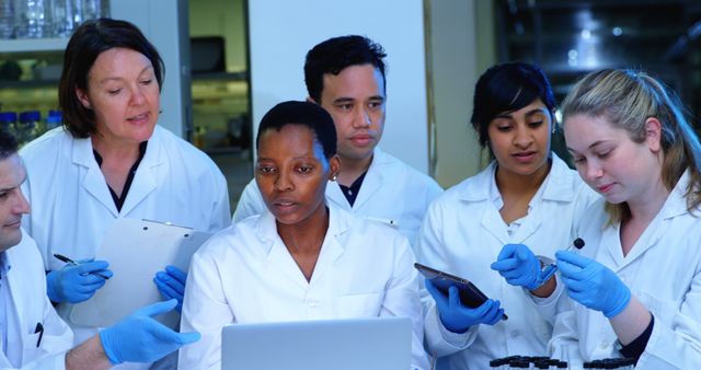 Diverse Group of Scientists Collaborating in Laboratory Setting - Download Free Stock Images Pikwizard.com