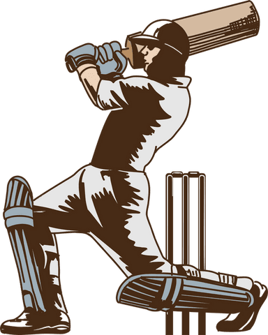 dynamic illustration of batsman swinging cricket bat transparent - Download Free Stock Videos Pikwizard.com
