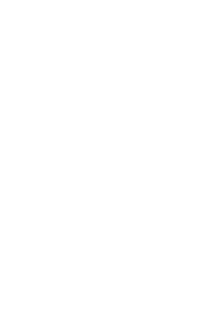 Transparent Silhouette of Male American Football Player Pointing Upwards - Download Free Stock Videos Pikwizard.com