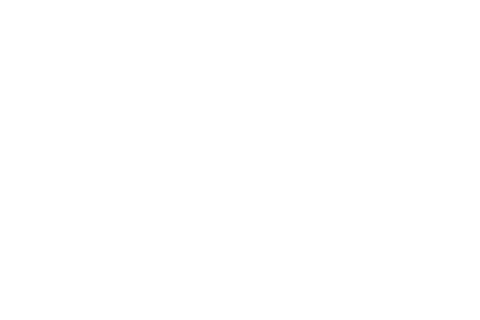 transparent forest silhouette with white fir trees - Download Free Stock Videos Pikwizard.com