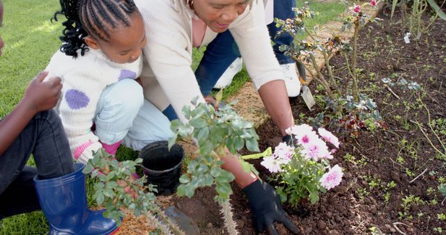 African american grandmother, grandson and granddaughter planting flowers in garden, slow motion. Family, togetherness, nature, gardening and lifestyle, unaltered.