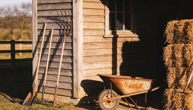 Rustic farm shed with weathered wheelbarrow and hand tools in warm late sunlight