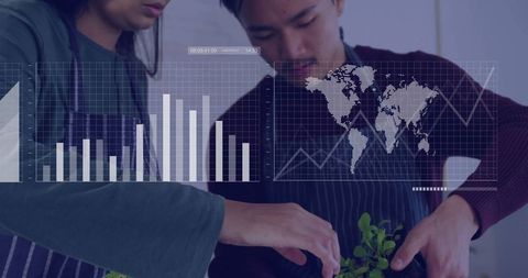 Culinary Innovation with Organic Herbs and Data Overlays