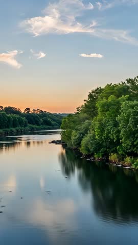 Vertical dusk river flowing with mirror reflections, drifting branch and lush trees