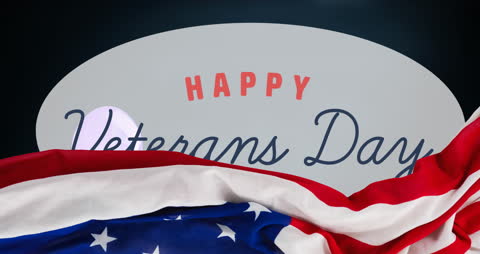 Animated Veterans Day Salute with USA Flag Background