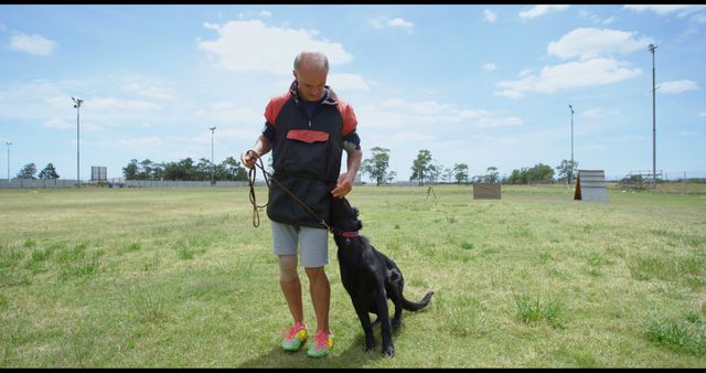 Man training black Labrador in open field with sunny weather. Ideal for concepts of pet obedience, outdoor activities, and dog training. Great for use in pet care websites, canine training guides, and articles about outdoor exercises.