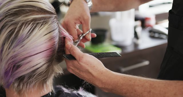 Hairdresser Cutting Hair in Modern Salon - Download Free Stock Images Pikwizard.com