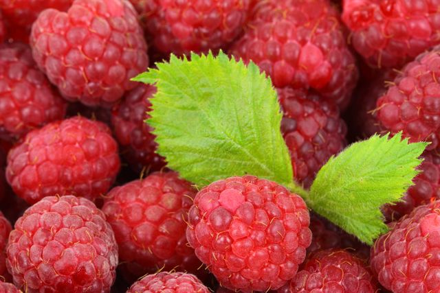 Ripe raspberries with a green leaf are shown in close-up, highlighting the vibrant red color and detailed texture of the berries. Ideal for use in advertisements and packaging design for fresh produce, healthy eating promotions, grocery store displays, and nutrition blogs. Perfect for illustrating fruit-themed recipes, summer menus, detox diet plans, and organic farming produce.